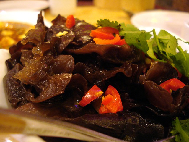 15578264475765.jpg 5599169500_6b34f6703f_z.jpg